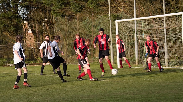 更希望为马 更希望为马