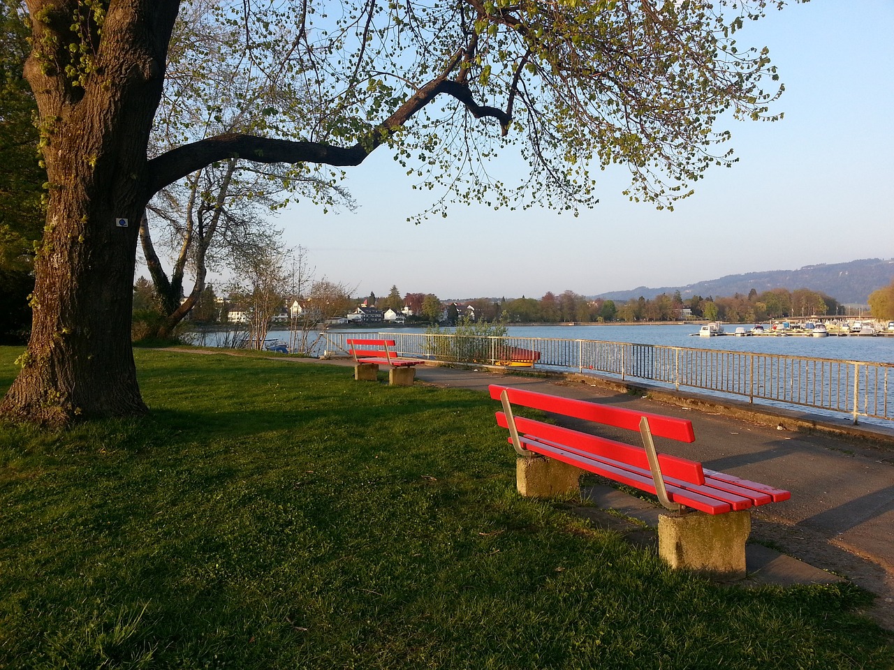 反而促进了 反而促进了