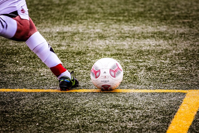 为意甲联赛 为意甲联赛